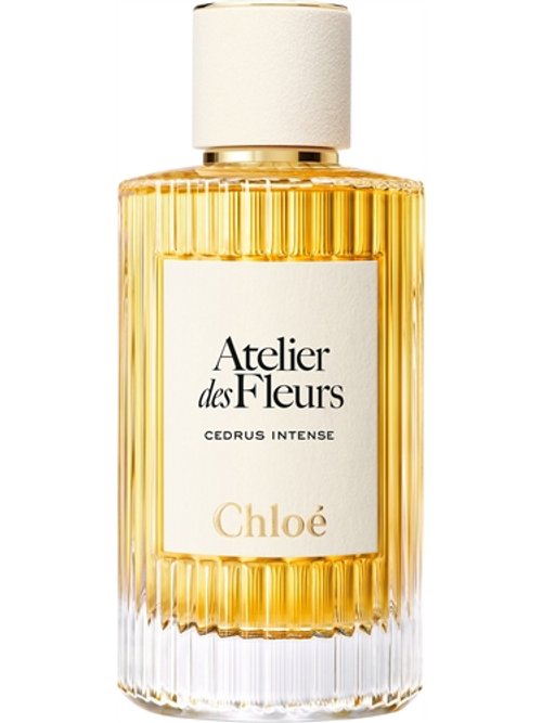 CEDRUS INTENSE
