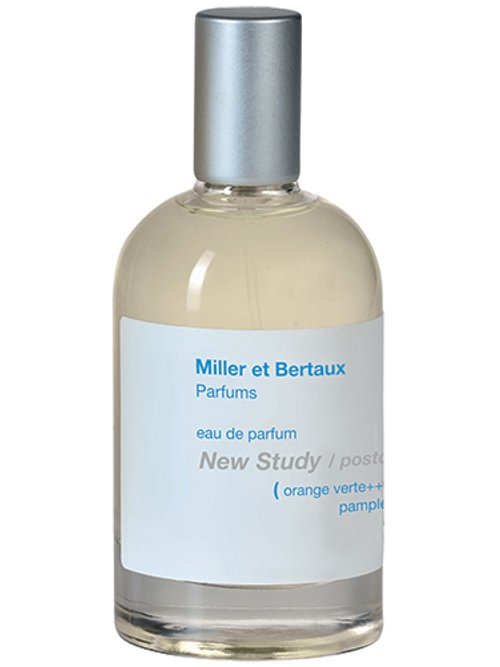 NEW STUDY / POSTCARD