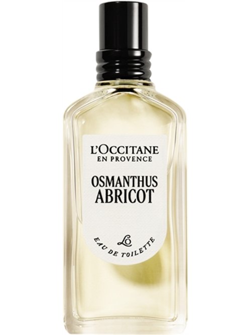 OSMANTHUS ABRICOT