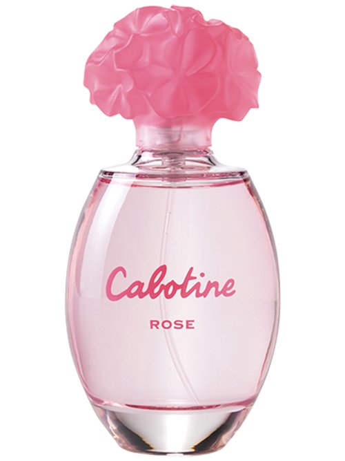 CABOTINE ROSE