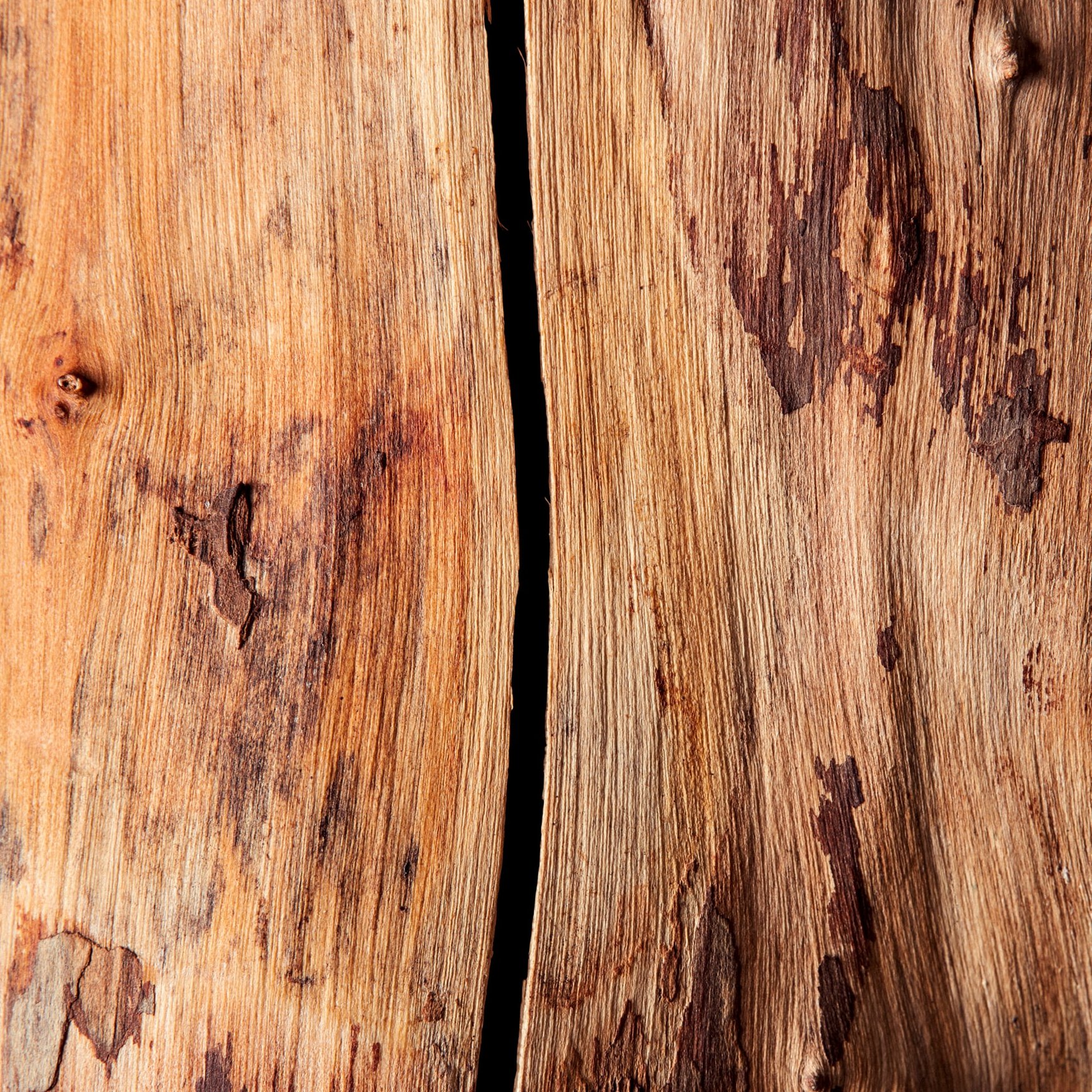 Сандал индийский