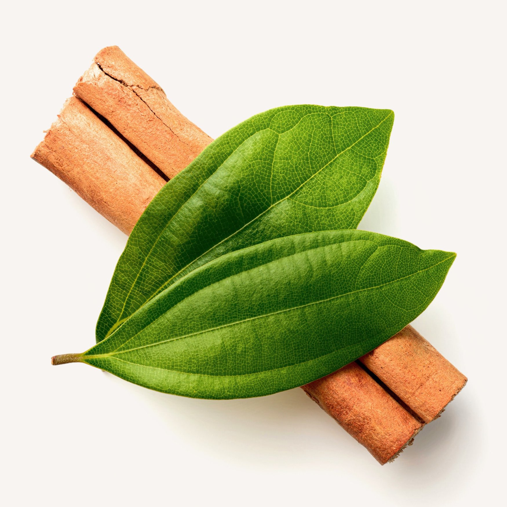 Лист корицы