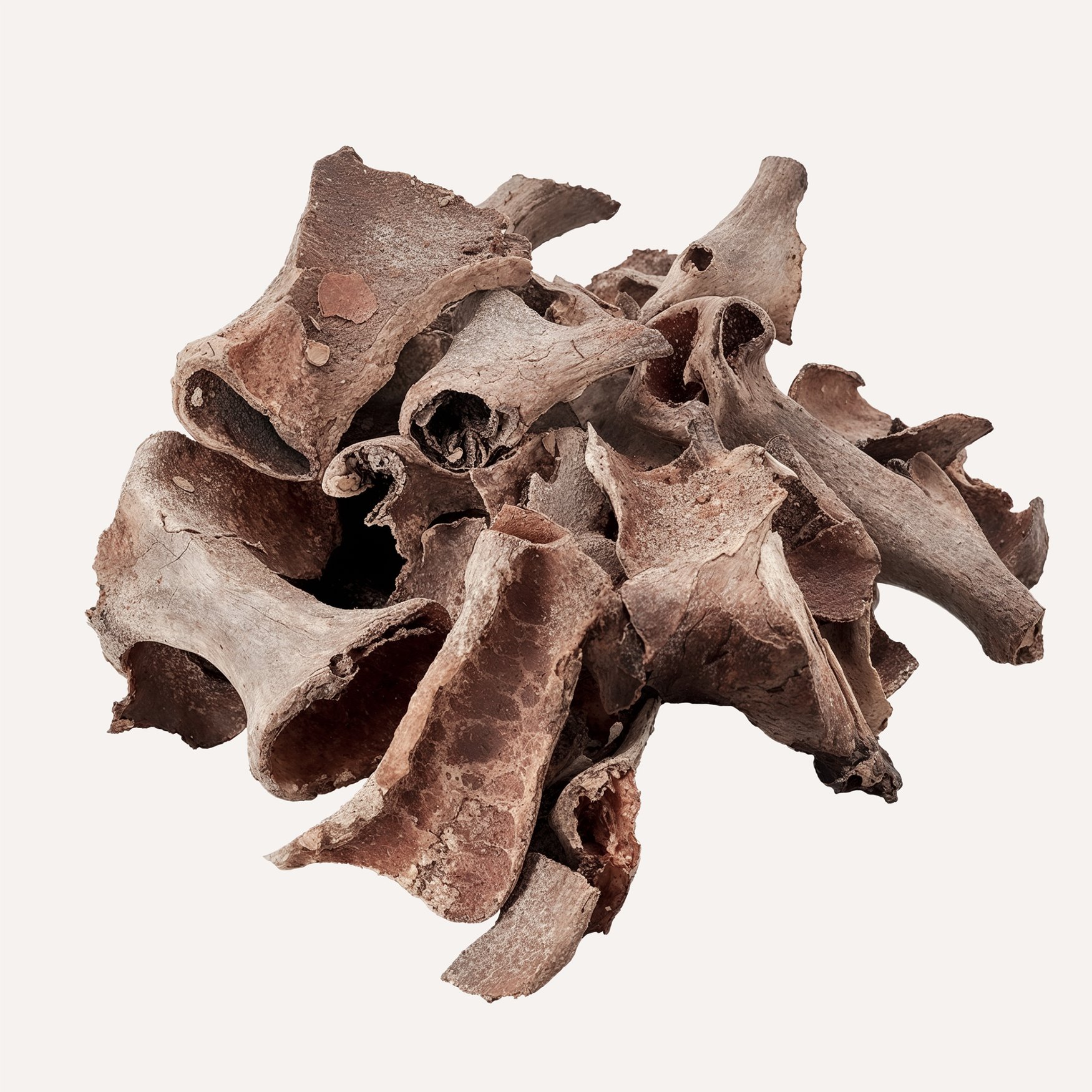 Свеча бушменов