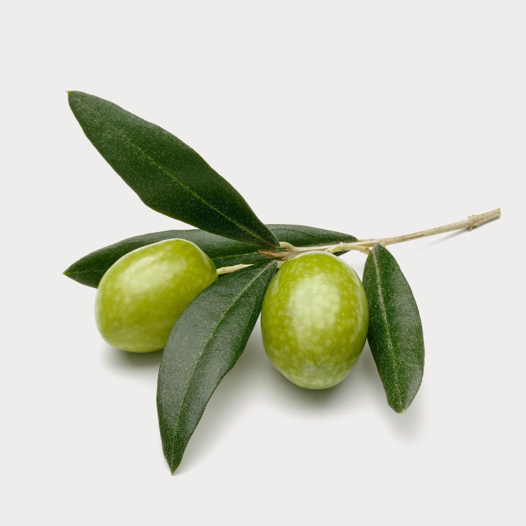 Оливковое масло