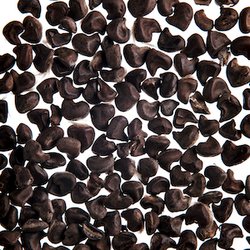 Семена амбретты