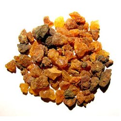 Бальзам копаиба