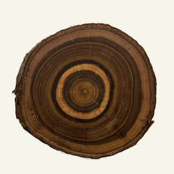 Эбеновое дерево