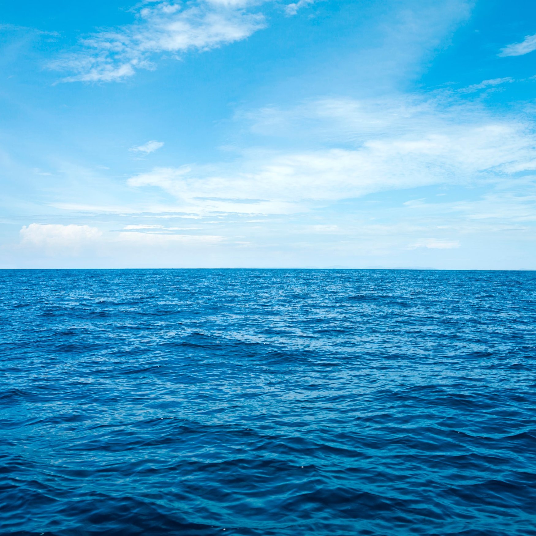 Каскалон (морской)