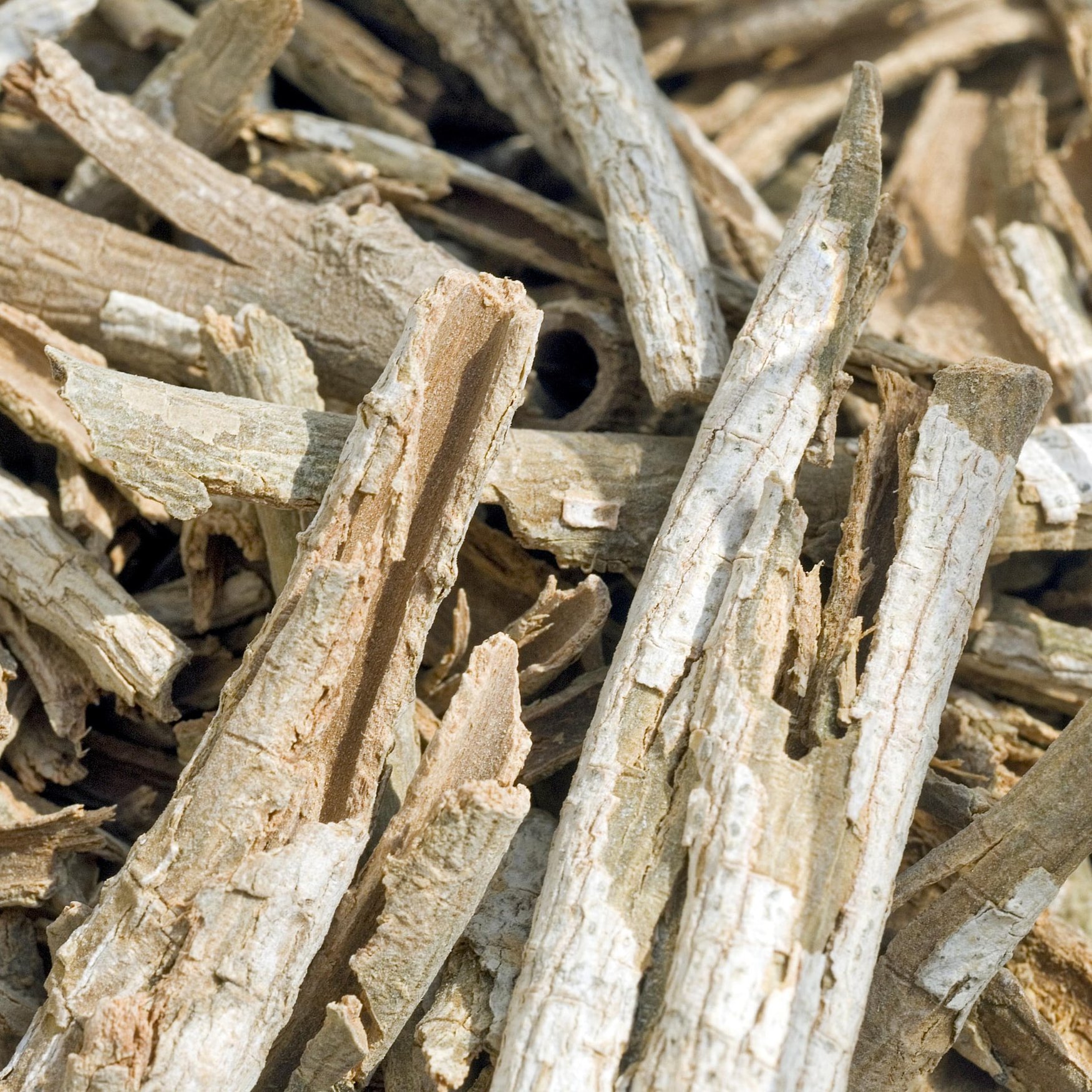 Каскарилла