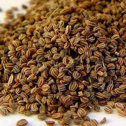 Семена сельдерея