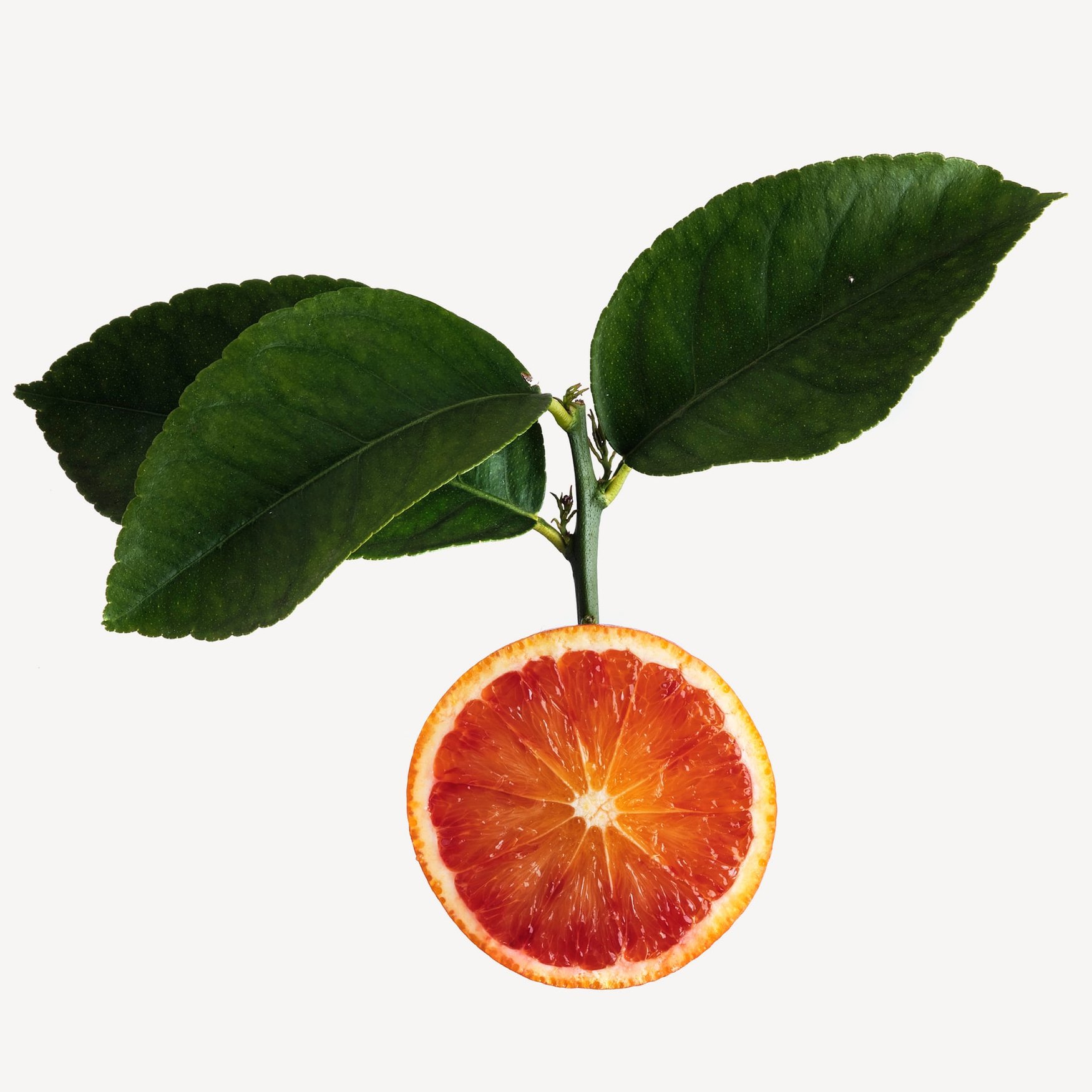 Красный апельсин