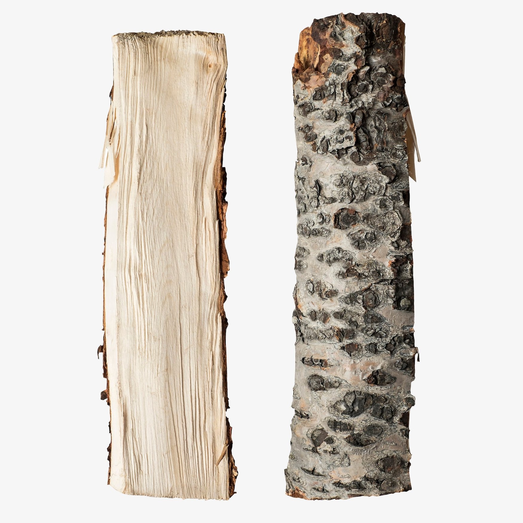 Березовый деготь