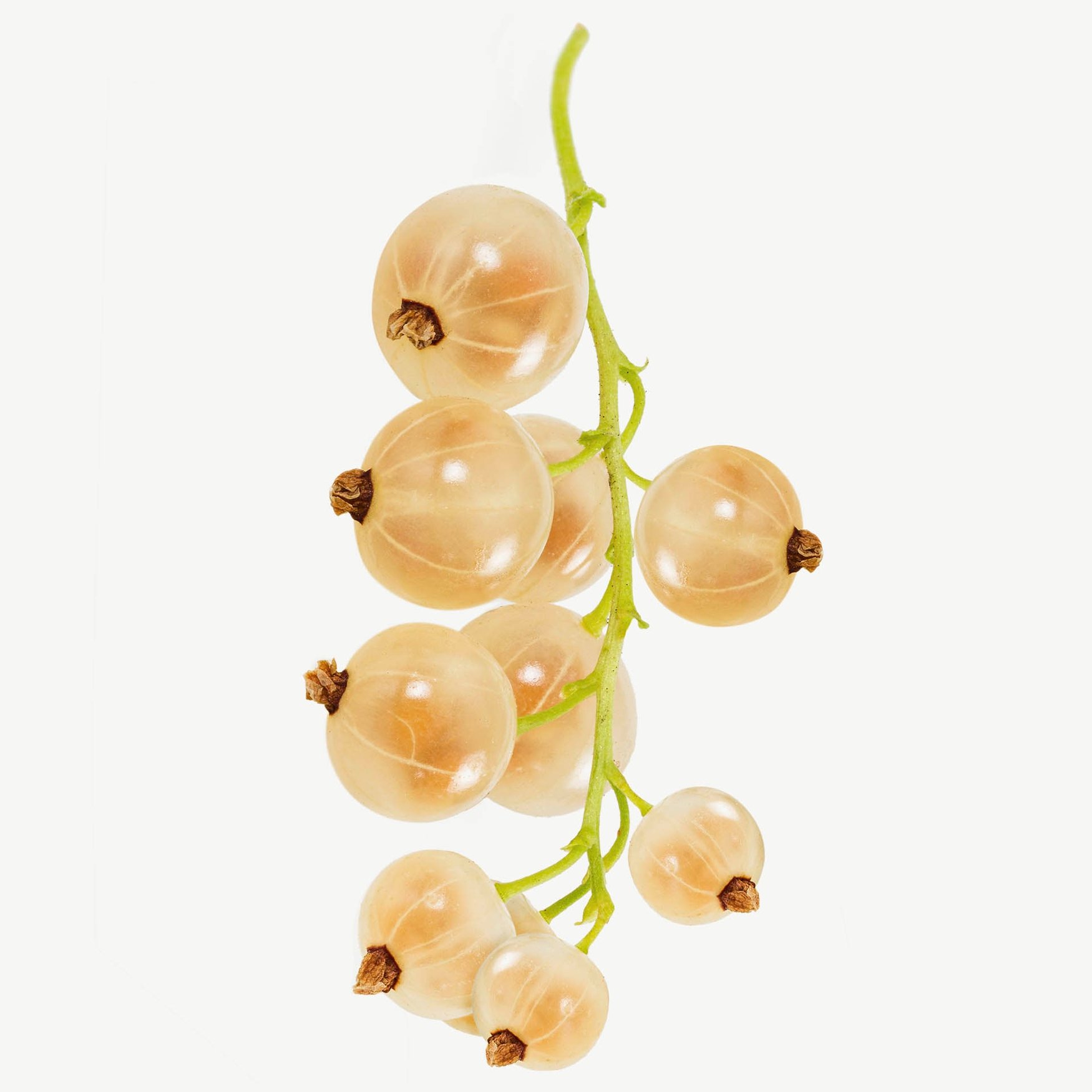 Белая смородина