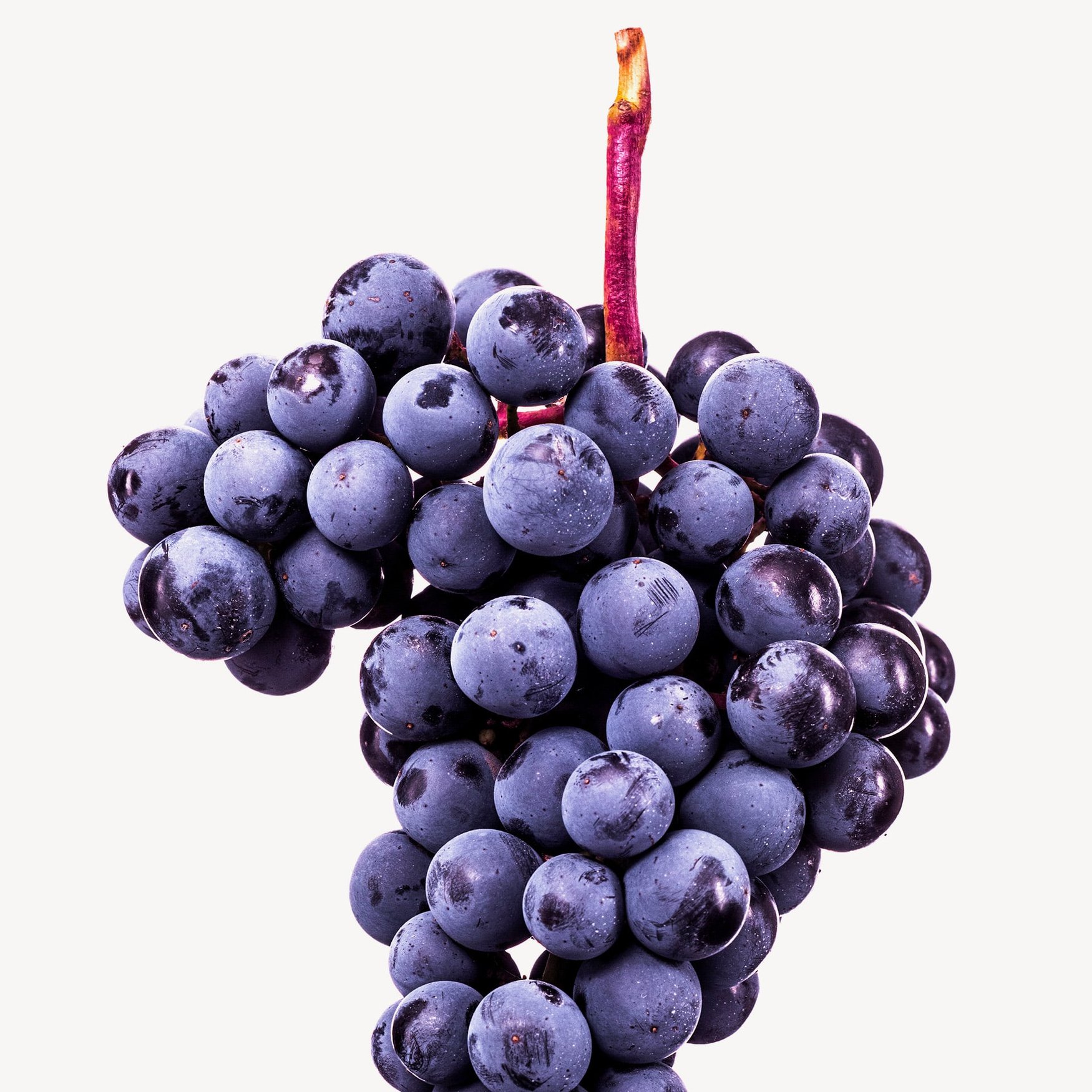 Виноград (Мускат)