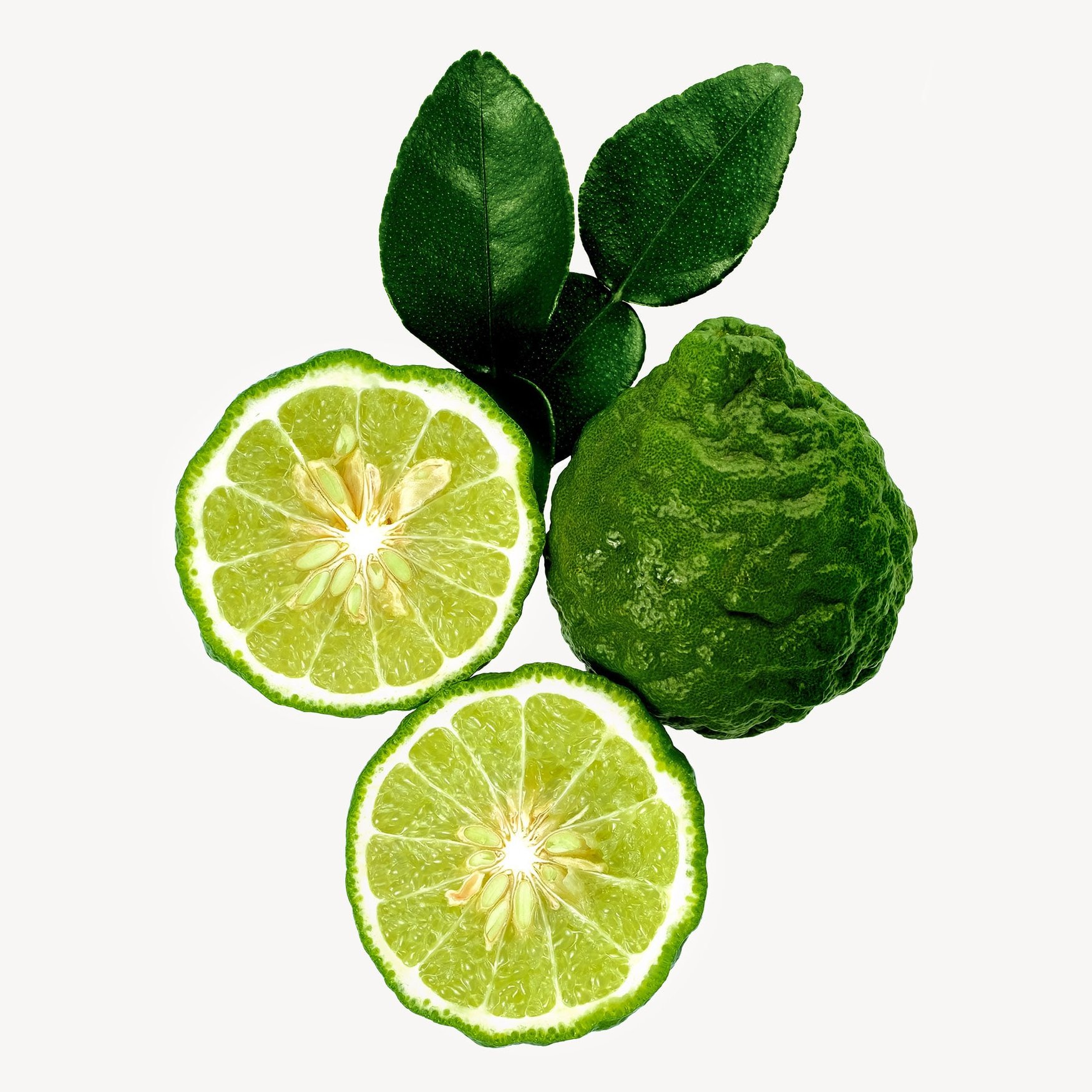 Каффирский лайм