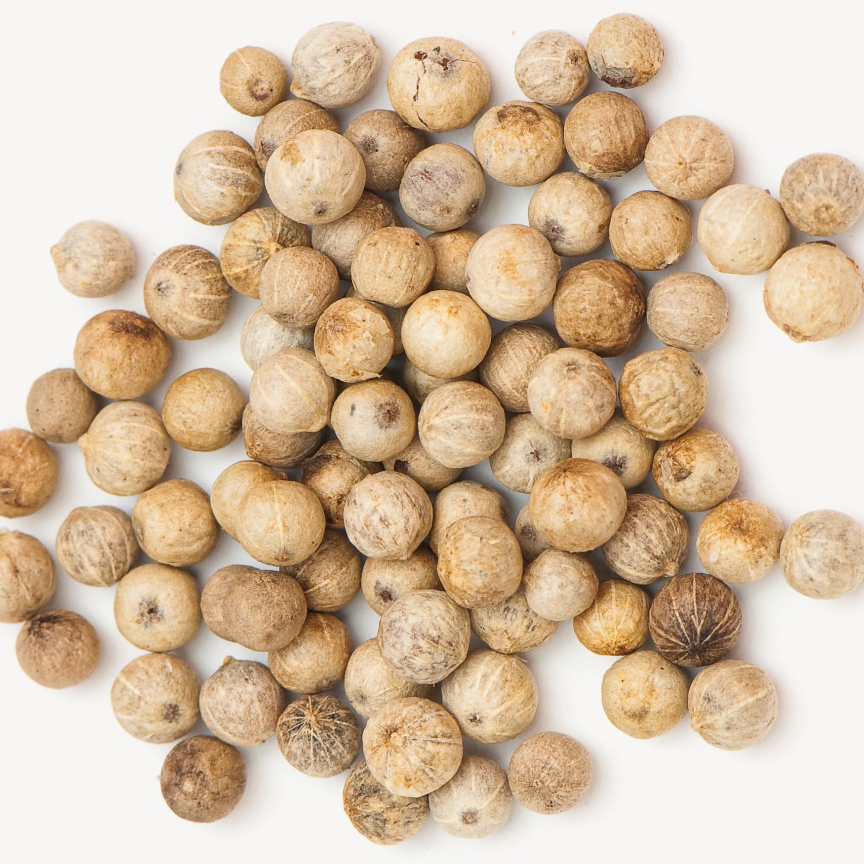 Белый перец