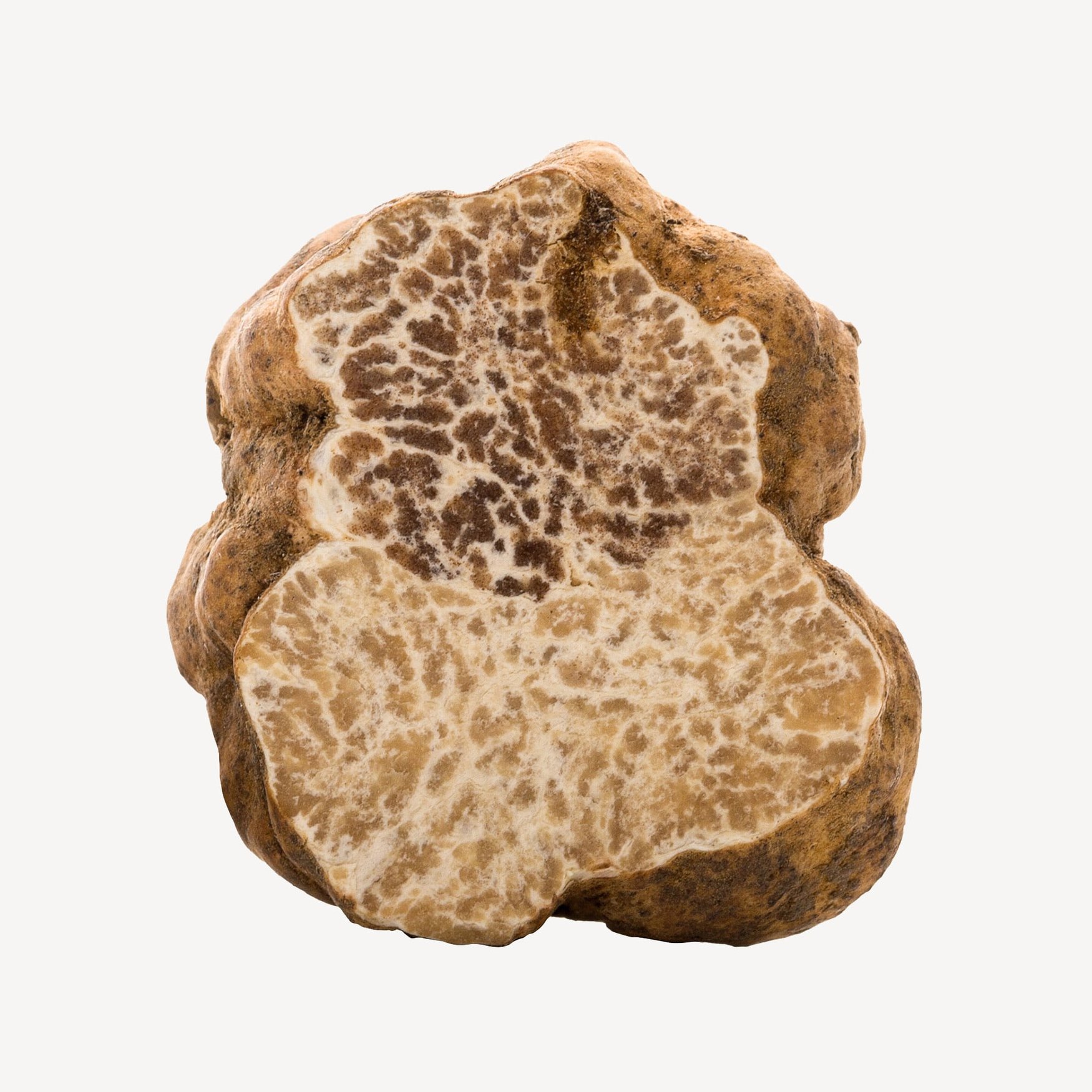 Белый трюфель