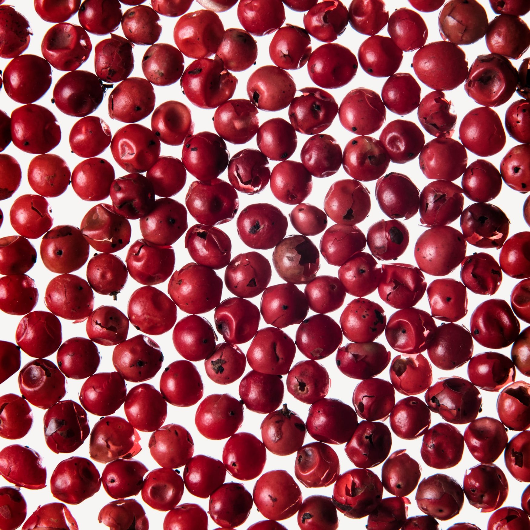 Розовый перец