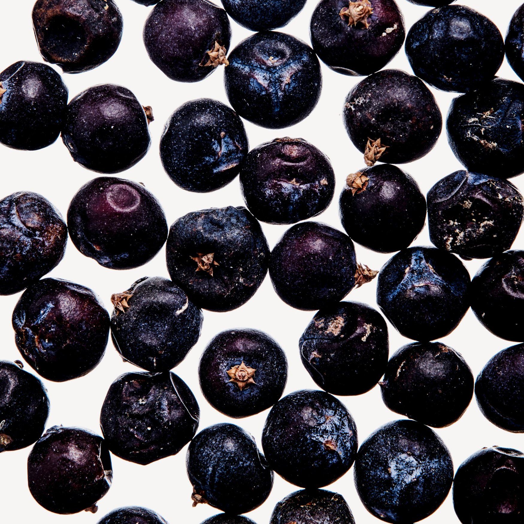 Ягоды можжевельника