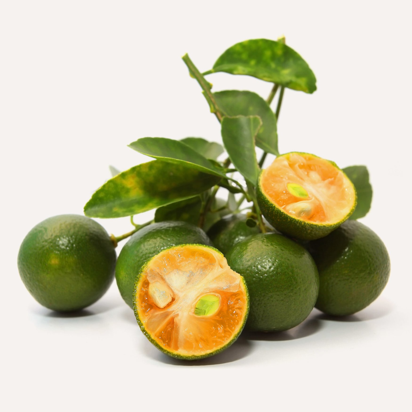 Каламондін