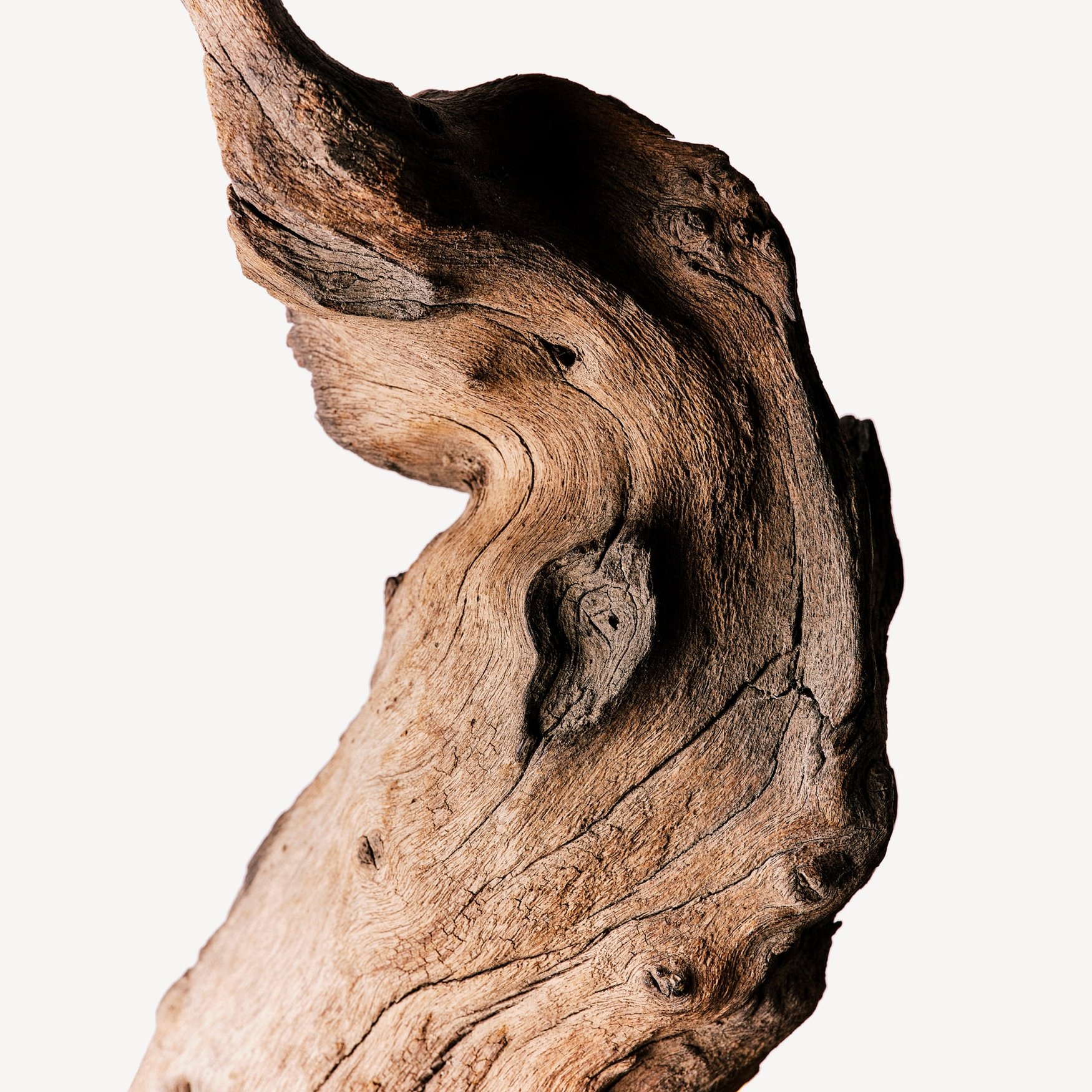 Изо Е Супер (кедровая нота)