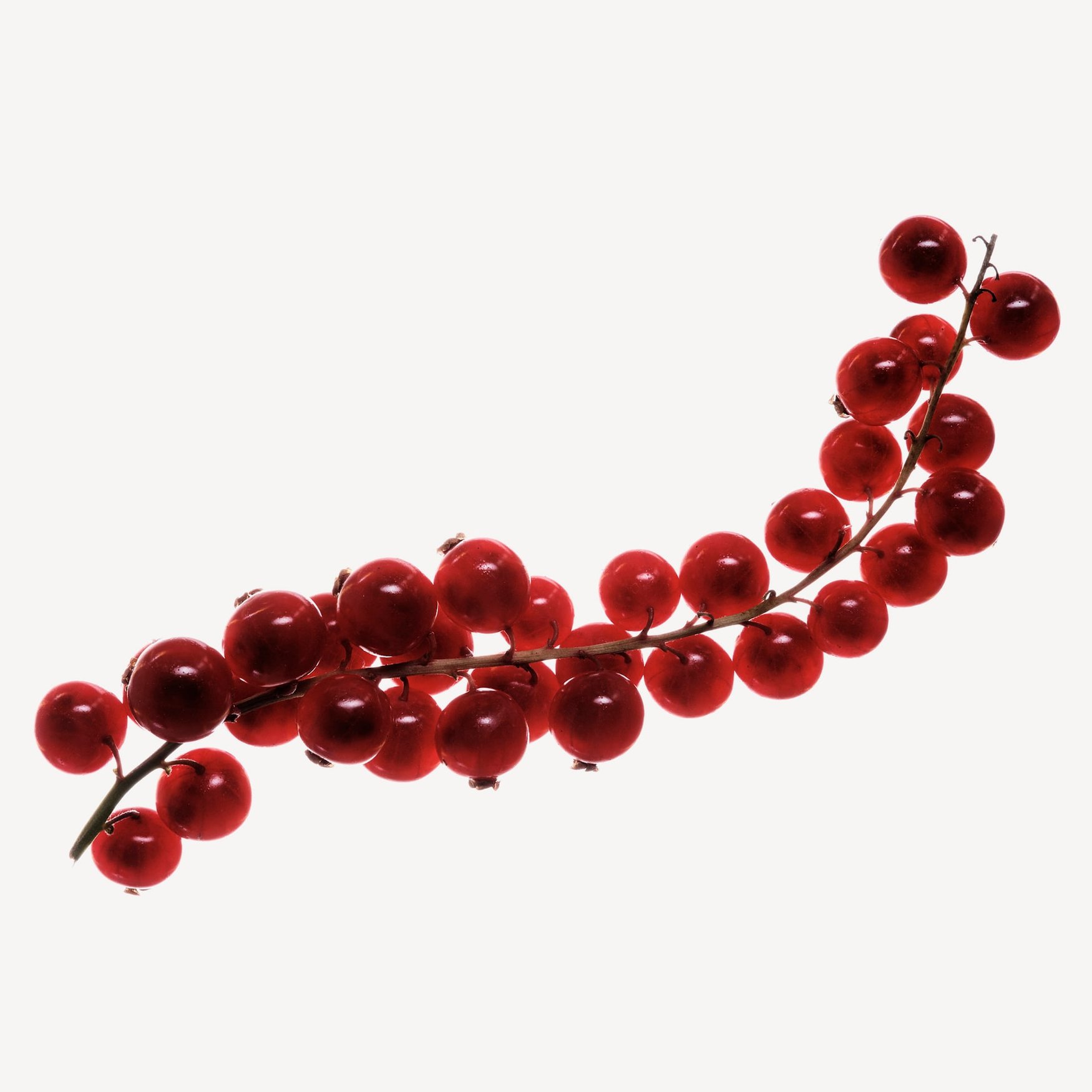 Красная смородина