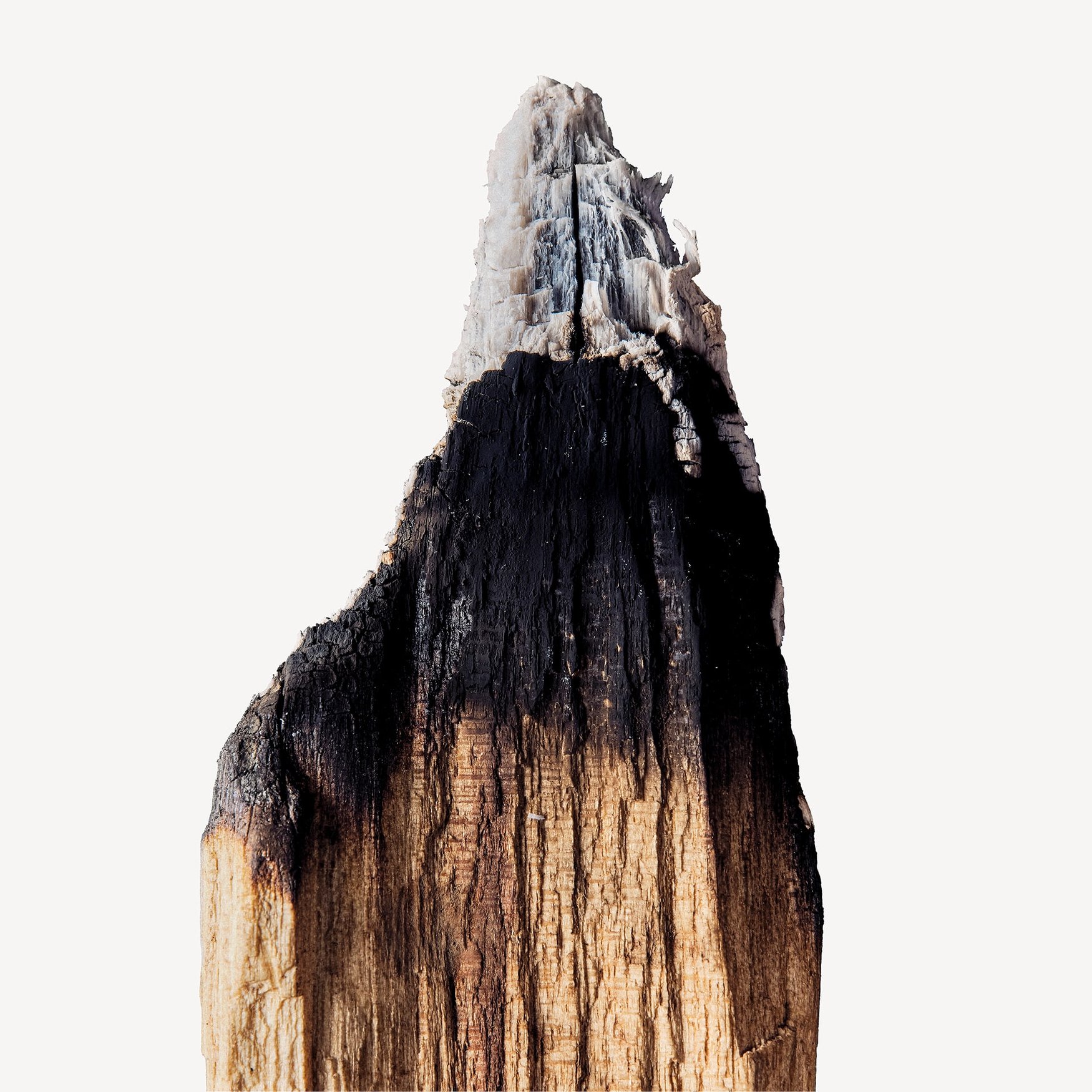 Аккорд гари