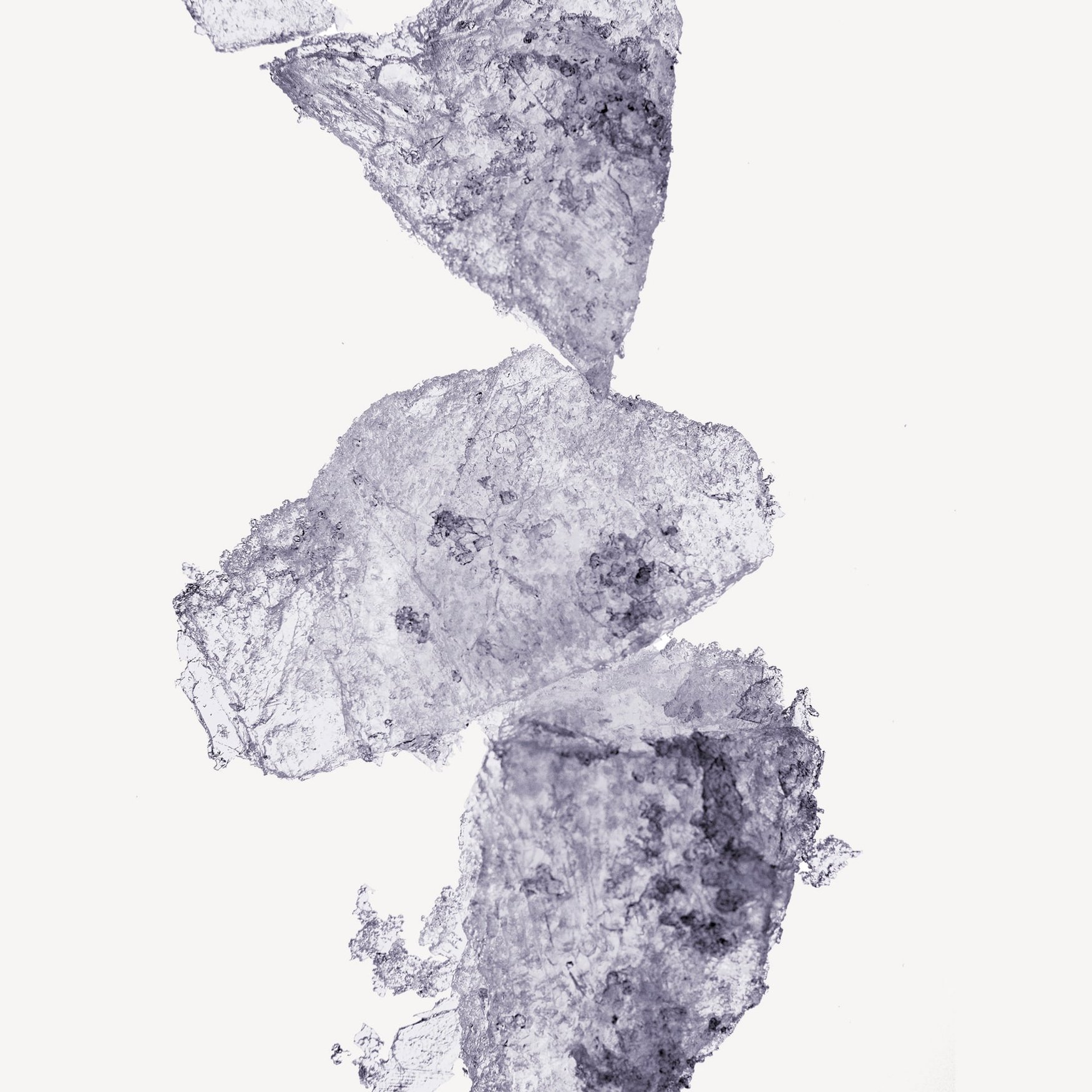 Серенолид (Мускус)