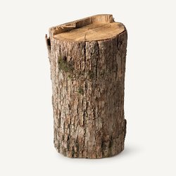 Древесина кипариса хиноки