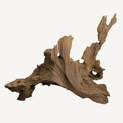 Сухая древесина